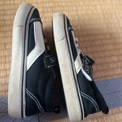 Belle ambesの画像