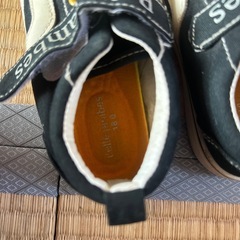 Belle ambesの画像