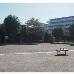 【高津区子母口】旭田公園 6/1(日) 10時～ - フリーマーケット