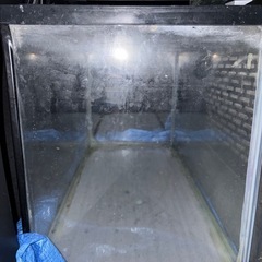 60センチ水槽　屋外　爬虫類