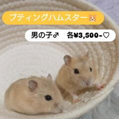 本日終日見学可能です❣️ - 地元のお店