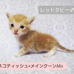 本日終日見学可能です❣️ − 大分県