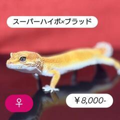 本日終日見学可能です❣️