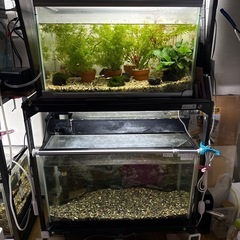 水槽5個セット