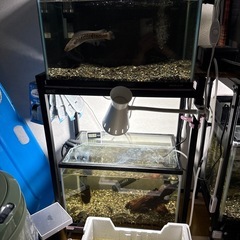 水槽7個セット