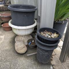 【何点でもOK】植木鉢、植物お譲りします