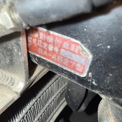 モンキー50シャリーDAX APEの画像