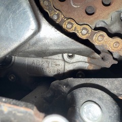 モンキー50シャリーDAX APEの画像