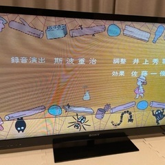 ジャンク品⭐︎SONY BRAVIA（機種名　KDL-46HX720）