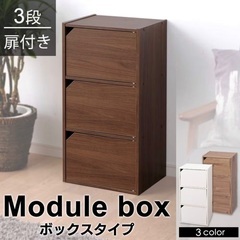 扉付きカラーボックス