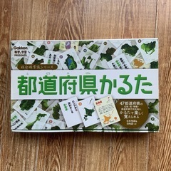 お値下げ⭐︎都道府県かるた