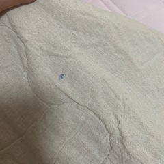 シングル 肌布団 2枚セットの画像