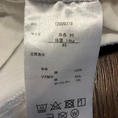 バーバパパ のTシャツ95センチの画像