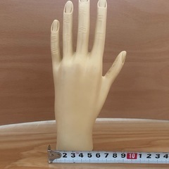 ハンドマネキンの画像