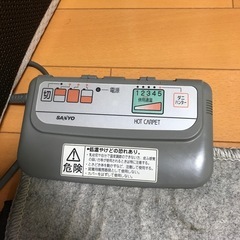 ホットカーペットと敷物