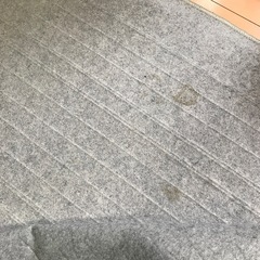 ホットカーペットと敷物の画像