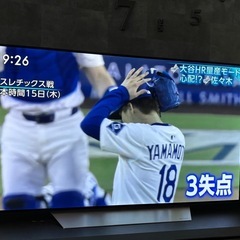 LG 有機EL テレビ 薄型テレビ 55インチ