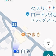 ダイコンの画像