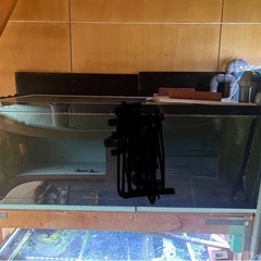 熱帯魚水槽 の画像
