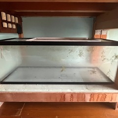 大型熱帯魚水槽