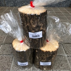 産卵木　未開封3本セット