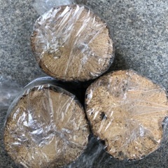 産卵木　未開封3本セットの画像