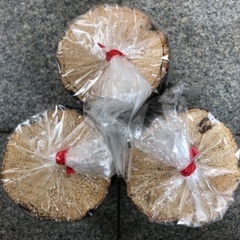 産卵木　未開封3本セットの画像