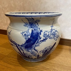 メダカ鉢　睡蓮鉢