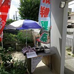 農家直売の無人販売 売り切れゴメン