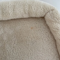 キャットタワーの画像