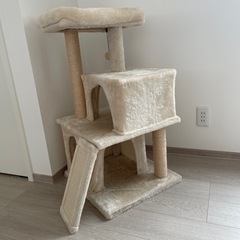 キャットタワーの画像