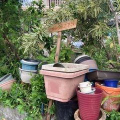 植木鉢