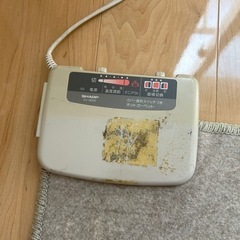 電気カーペットの画像
