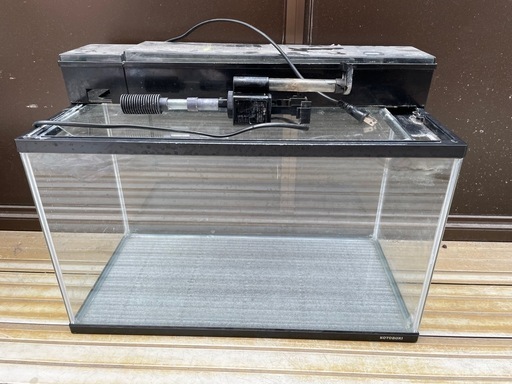 【期間限定特価】 🐟600（60cm）水槽セット早い者勝ち〜ッ❗️🔥🐟 羽島 (かとぺ) 水槽