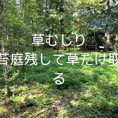 草むしりやります！