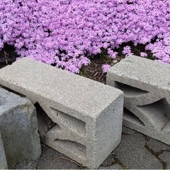 ブロック🧱３つ
