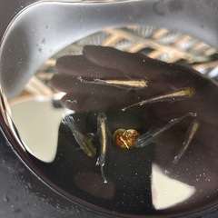 ブラックマリアージュ