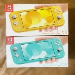 Switch　lite