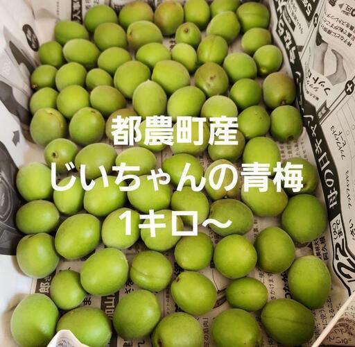 多いほどお値引きアップ！都農町産無農薬じいちゃんの青梅1キロ