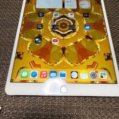 ipad pro10.5 512GB wifi&セルラー 大容量！