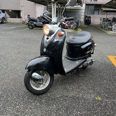 ビーノ❣️他在庫多数見学大歓迎の画像