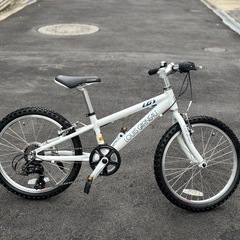 ルイガノ LGS-J20 自転車 ホワイト