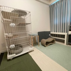 美品！アイリスオーヤマ ミニキャットケージの画像