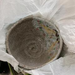 0518-035 陶器　皿　未使用　5個セット