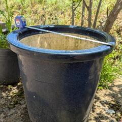 大きな植木鉢