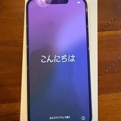iPhone13 256GB