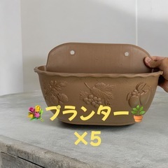 プランター5個