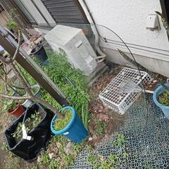 ガラス天板　テーブルの画像