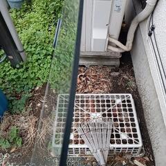 ガラス天板　テーブルの画像