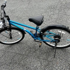 ドライドBEAT24インチ自転車